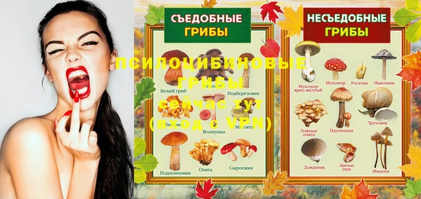 марихуана Богородицк