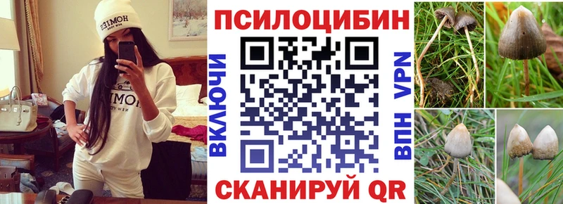 МЕГА вход  как найти закладки  Наро-Фоминск  Галлюциногенные грибы Cubensis 